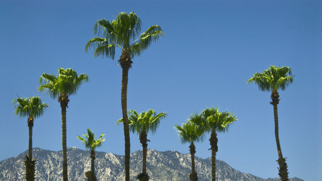  (Image / Getty Images)