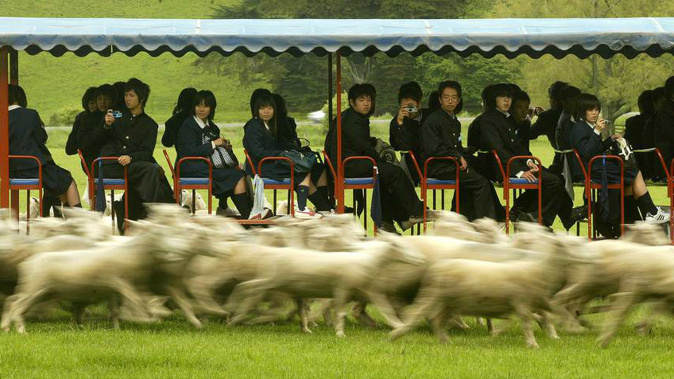 Kiwis can seem a bit "rugged" and "unsophisticated" in perfection-seeking Japan, a new report has found (Photo / NZ Herald)