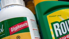 The EU's refusing to renew the licence of glyphosate - the key ingredient used in 'Roundup'. Photo/Getty