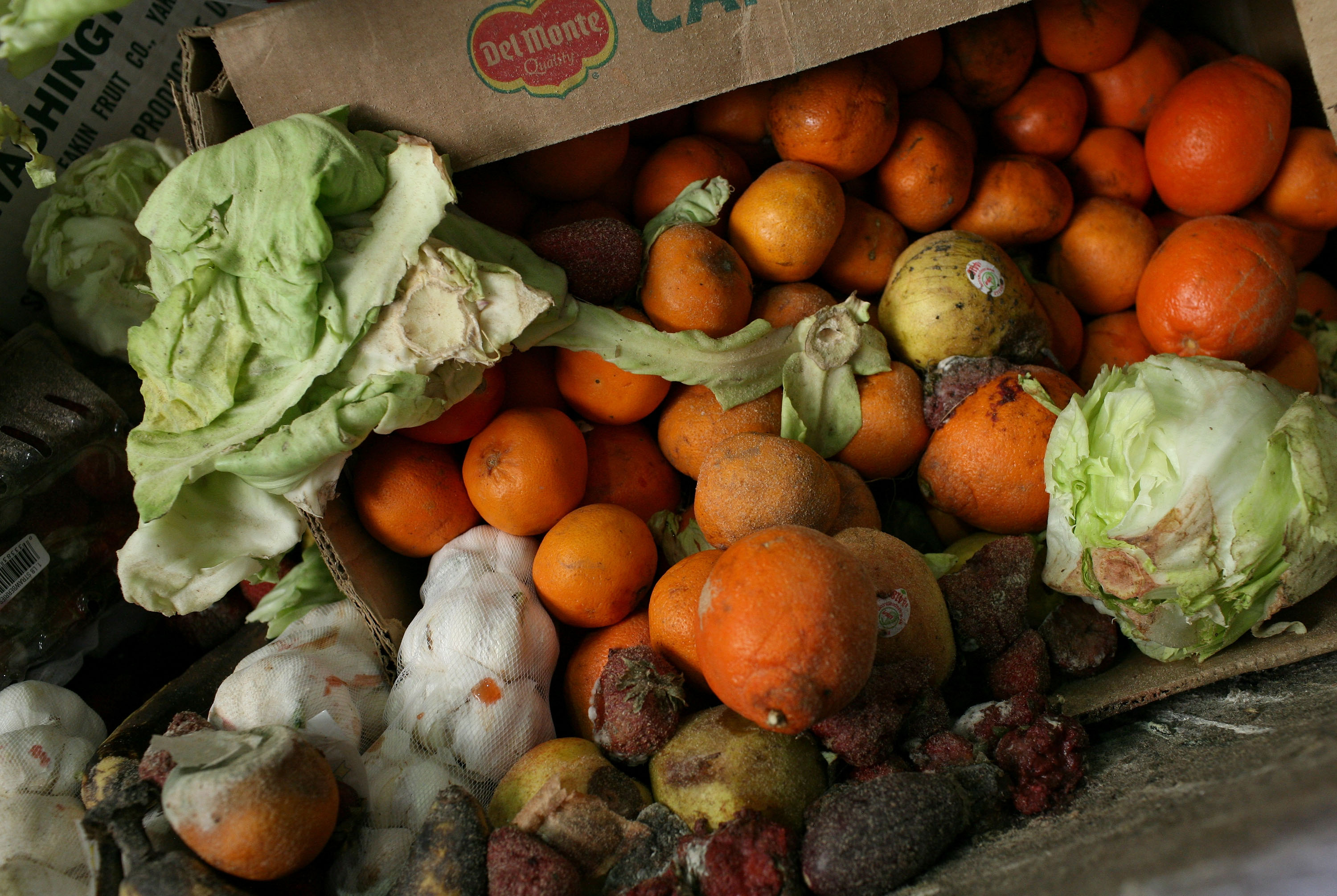 New Zealanders waste $2b worth of food each year. (Photo \ Getty Images)