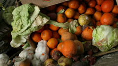 New Zealanders waste $2b worth of food each year. (Photo \ Getty Images)