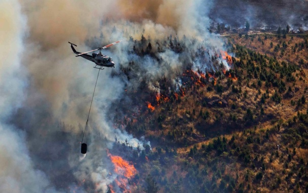 The fires raged out of control earlier this year. Photo/ Supplied