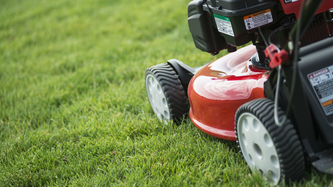 Studies say mowing our lawns is hurting the environment. (Photo \ Getty Images)