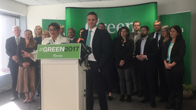 The Greens need a new co-leader after Metiria Turei resigned. Photo/Gia Garrick