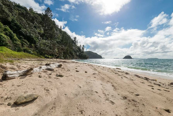 The land above the 450m Auckland beach is for sale. Photo / Bayleys Real Estate