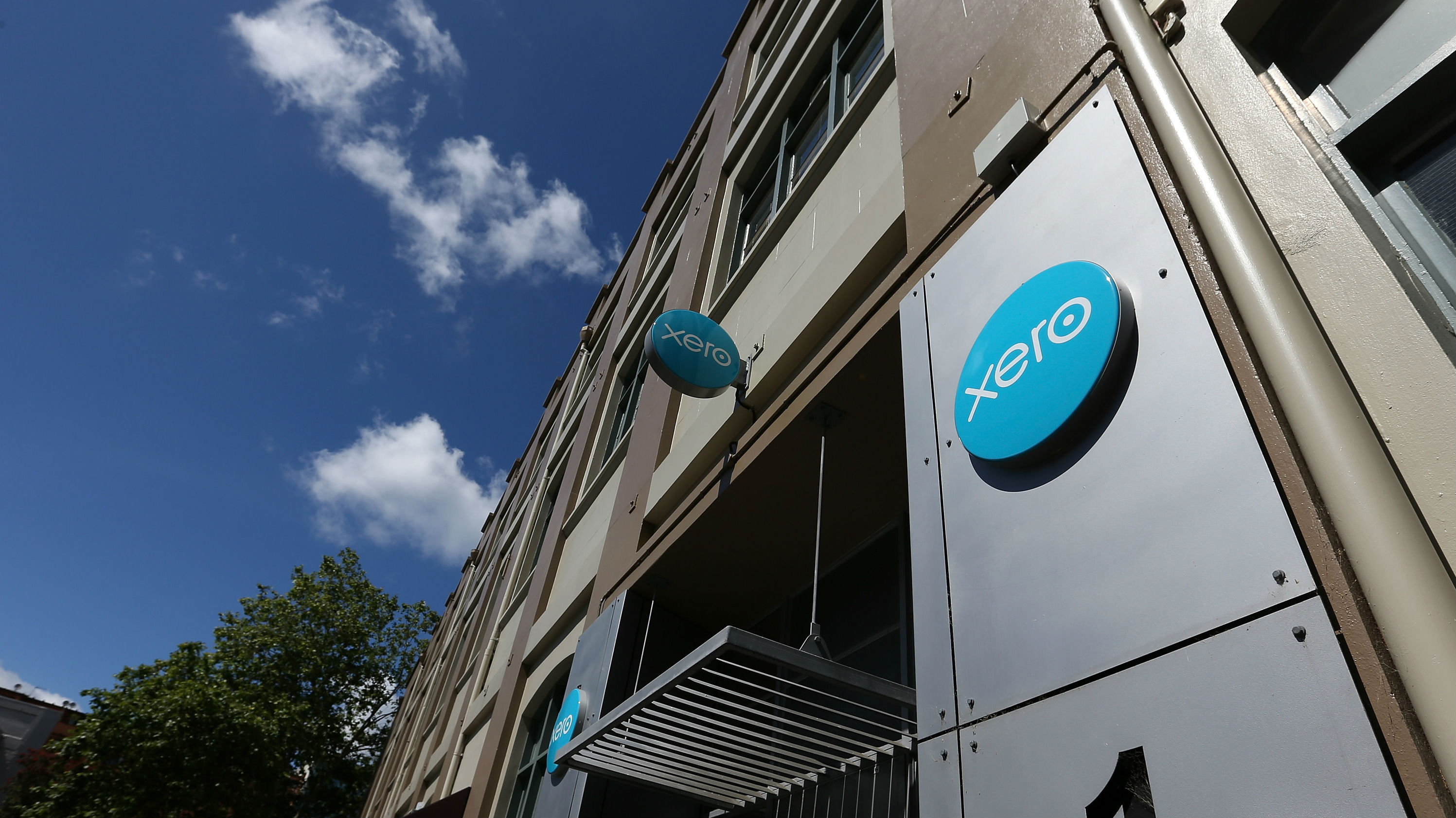 Explained: Why has Xero's share price taken a nosedive?