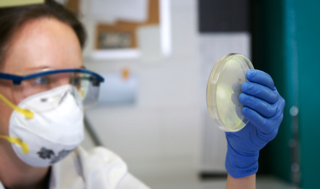 The researchers hope to have a drug by 2018. Photo/Getty