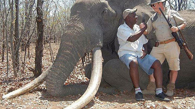 International conservation groups are condemning the move but the US Government argues hunting in regulated parts of Africa could help conservation efforts. (Photo: NZ Herald)