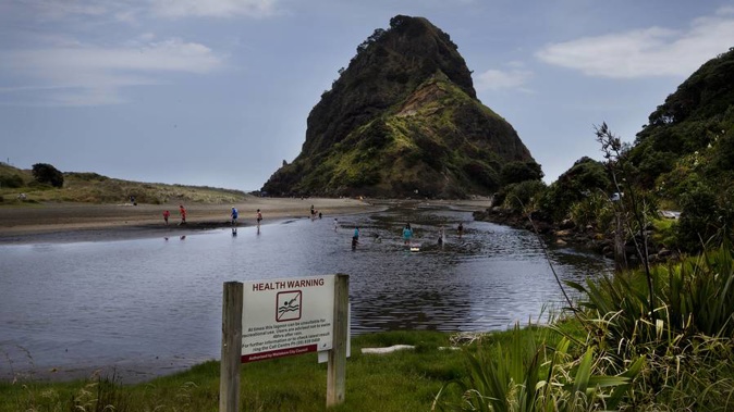 The lagoon on South Piha beach is among 16 Auckland beaches too contaminated to swim at. (Photo / File)