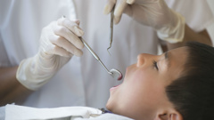 (Photo / Getty Images)