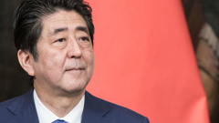 The 10-member Imperial Household Council is headed by Prime Minister Shinzo Abe (pictured) and includes lawmakers, royals and supreme court justices (Getty Images)
