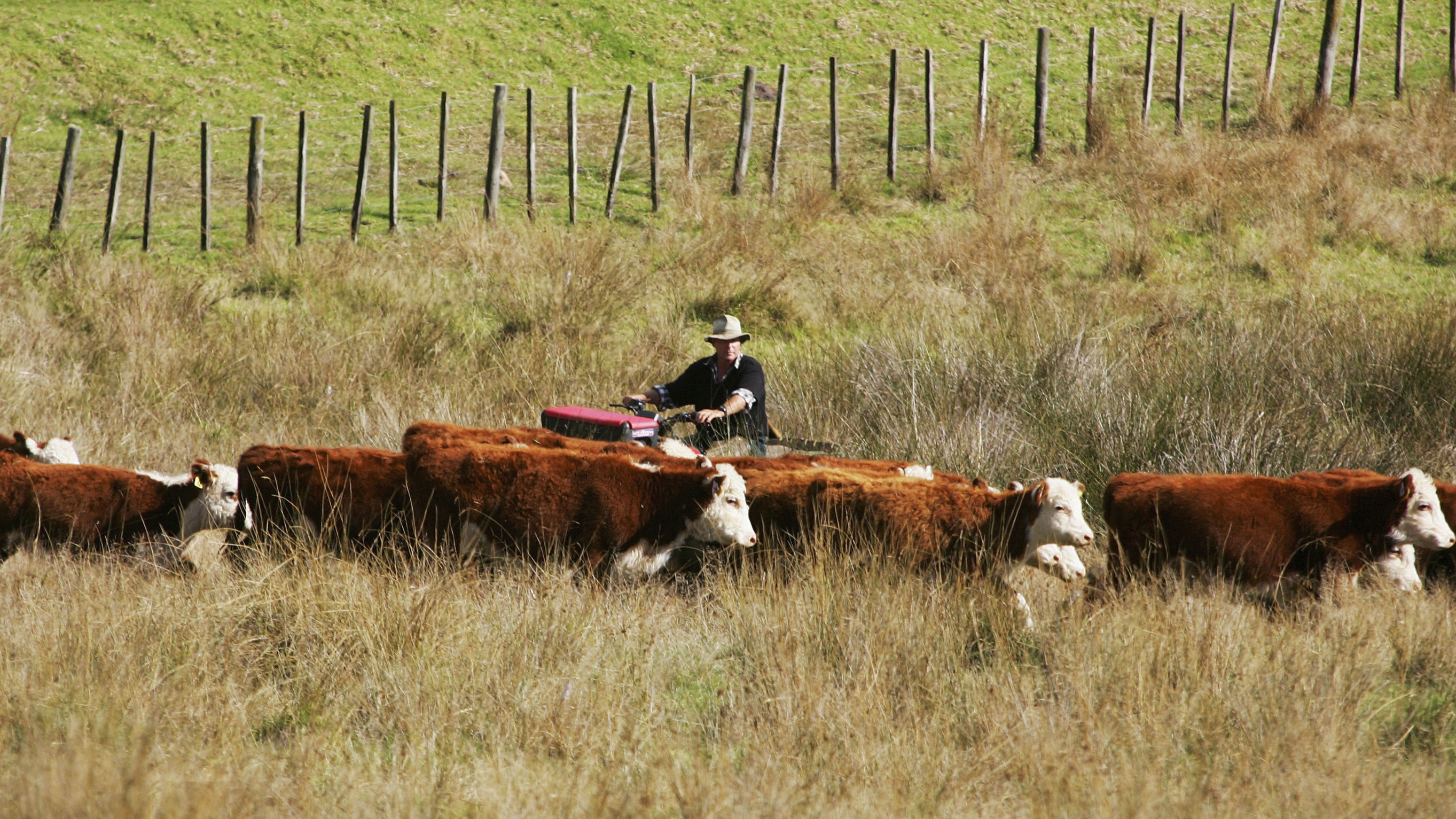 Photo / Getty Images