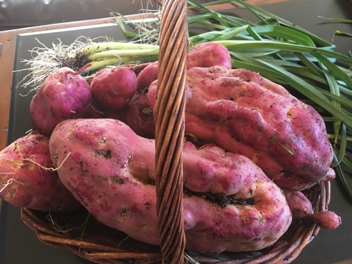 Kumara are nearly $10 a kg now. (Photo / File)