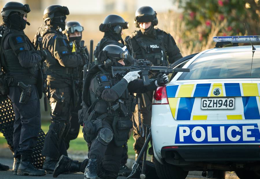 Image result for nz armed offenders