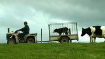 Farmers urged to speak out during stressful Christmas period