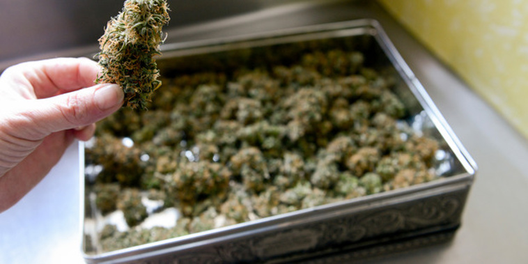 Health Minister David Clark said they have the support of the coalition - New Zealand First and the Greens - on this. (Photo \ NZ Herald)