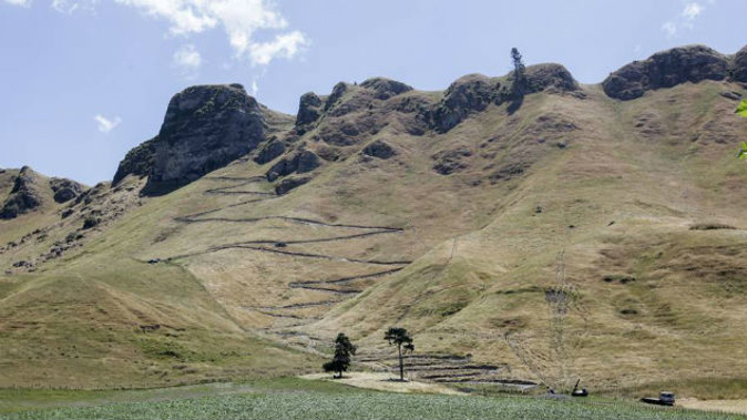 Nearly 4000 people had joined the call to take action against the controversial walking track. (NZ Herald File)
