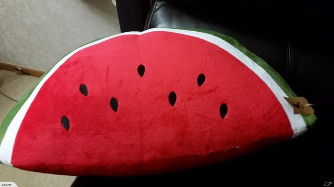 More than 300 unwanted Christmas gifts have appeared on the Trade Me website before lunchtime on Christmas Day, including this watermelon shaped pillow. (Photo: Trade Me)