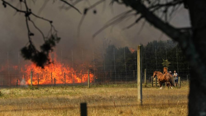 The scrub fire on Saturday spread across 1600 metres. (Photo / Supplied)