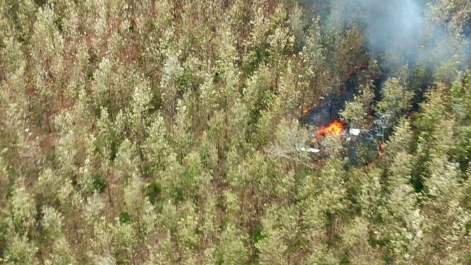 Smoke rises from the site of a plane crash in Costa Rica. (Photo / AP)