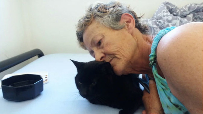 Donations are pouring in for Jan Walton to pay for surgery on her cat. (Photo \ NZ Herald)