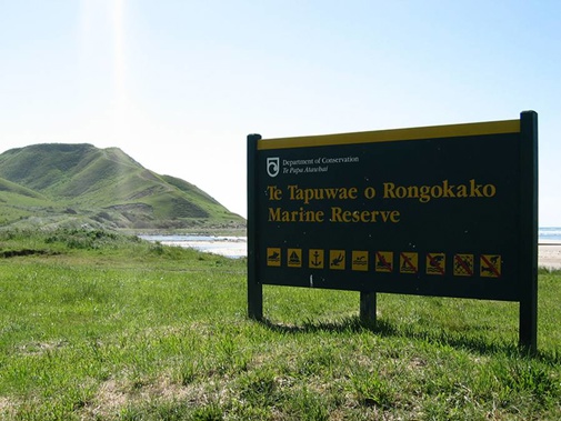 The Te Tapuwae o Rongokako Marine Reserve protects over 2,400 hectares of coastline. (Photo / MPI)