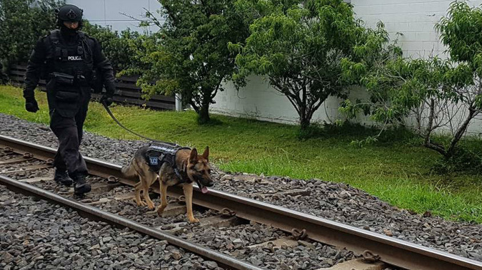A police dog and his handler seen walking railway tracks in Bureta this morning. (Photo / Zoe Hunter)
