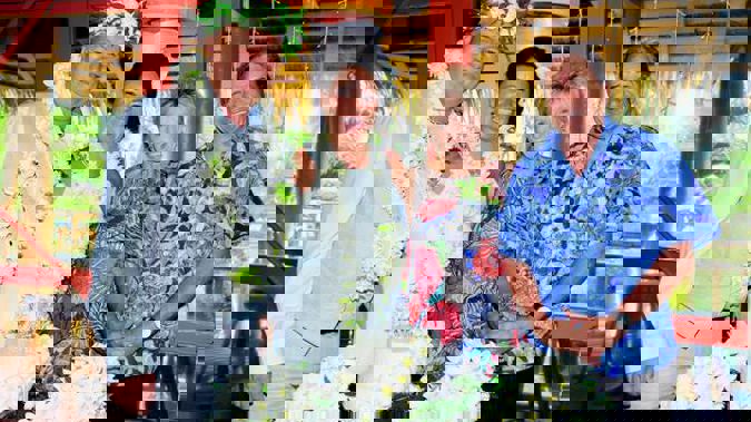 Mp Shane Jones Ties The Knot In Rarotonga