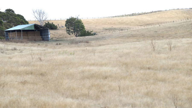 The Grey and Buller districts are the latest areas to be affected by drought. (Photo \ Duncan Brown)
