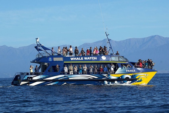 Kaikoura Whale Watch boat. (Photo \ Getty Images)