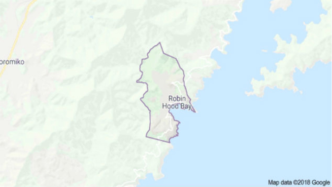 A Department of Conservation spokesman says it appears trees at Robin Hood Bay DOC Campsite near Nelson have been chopped by campers wanting to improve their views of the sea. (Photo: Google Maps)