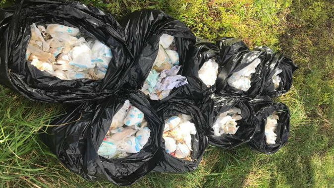Hawke's Bay Regional Council reported finding hundreds of used nappies dumped on the banks on the Ngaruroro River last June. (Photo: Glen Drummond/NZ Herald)