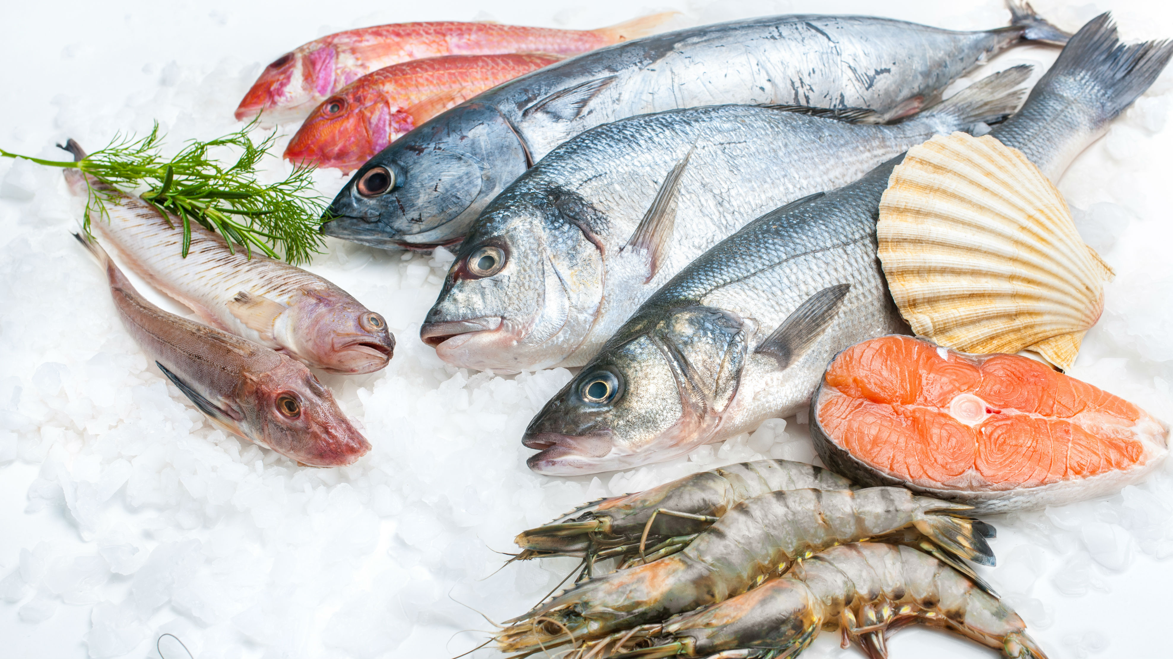 The annual seafood festival is no more - with Destination Kaikoura wanting to replace it with something fresh. (Photo \ Getty Images)