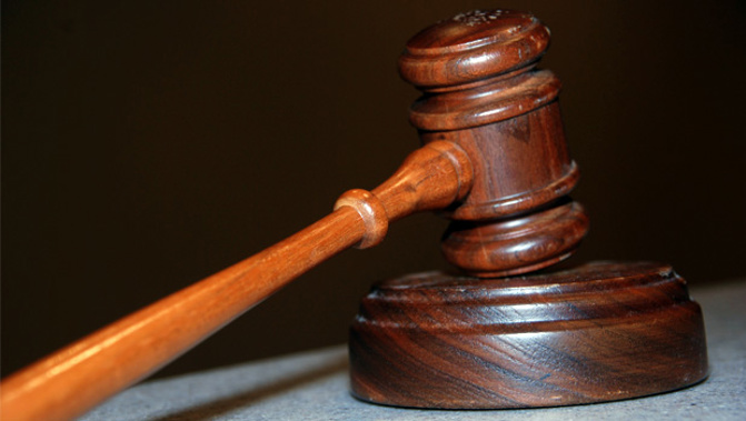 Property developer Augustine Lau has been sentenced to two-and-a-half months in prison for instructing a digger operator to damage mature native trees at a property in Waiwera. (Photo: Stock xchang)