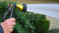 The ban includes the use of hand-held hoses and watering cans, however, residents can use recycled greywater on their gardens. (Photo: Stockxchng)