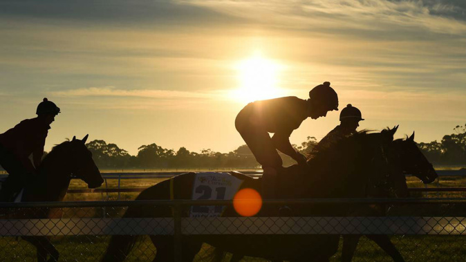 Questions remain over who will stump up the cash for the all-weather race track. (Photo/ NZ Herald)
