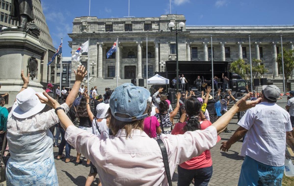A rally was held yesterday outside of parliament. (Photo / NZ Herald)