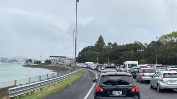 Traffic backed up north of Auckland Harbour Bridge after severe wind gusts sparked a full closure. Photo / Ben Francis