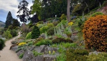 Man in court over Dunedin botanic garden attack