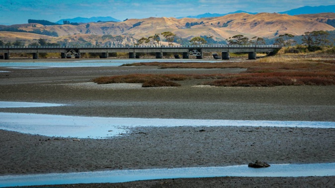 The Ahuriri Estuary is a significant conservation area under the Regional Coastal Environment Plan, a wetland of ecological importance, and it includes a wildlife refuge. Photo / Paul Taylor