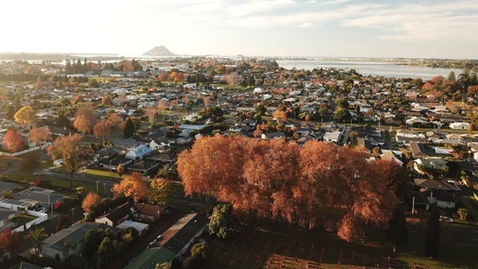 Tauranga's average rider rating was 4.90. Photo / Logan Bell