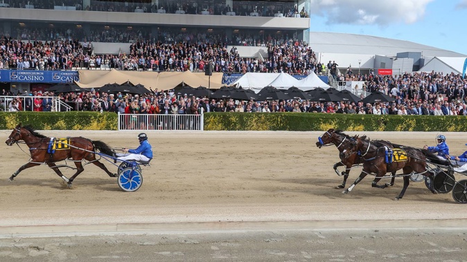 For the first time in 117 years the public may be shut out of Canterbury's annual Cup and Show Week. (Photo / Supplied)