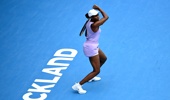 Venus Williams of USA plays a forehand during her second round match against Lin Zhu of China during day four of the 2023 ASB Classic Women's at the ASB Tennis Arena on January 05, 2023 in Auckland, New Zealand. (Photo by Hannah Peters/Getty Images)