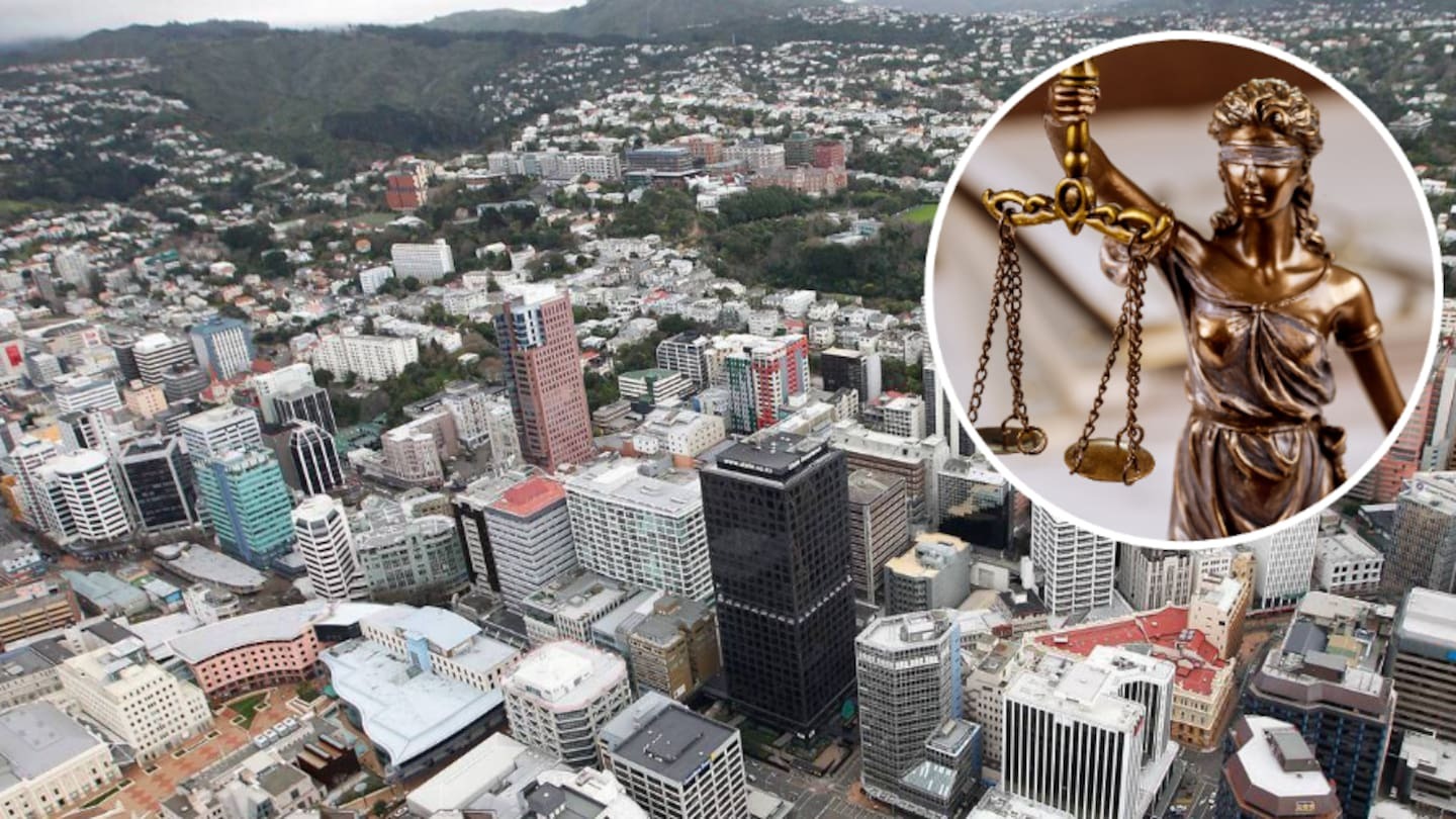 Mohammad Shahzad's misconduct stemmed from his ignorance, inexperience, compassion, youthful enthusiasm, and lack of guidance, the tribunal found. Photo / File