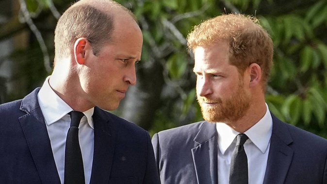 Princes William and Harry. Photo / AP