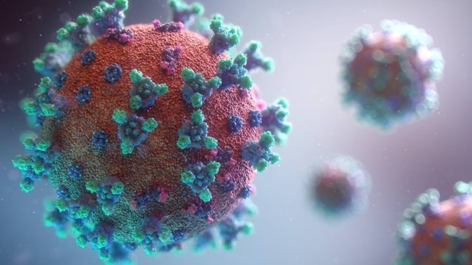 The new sub-variant has now been detected in 29 countries, including New Zealand. Photo / Fusion Medical Animation on Unsplash