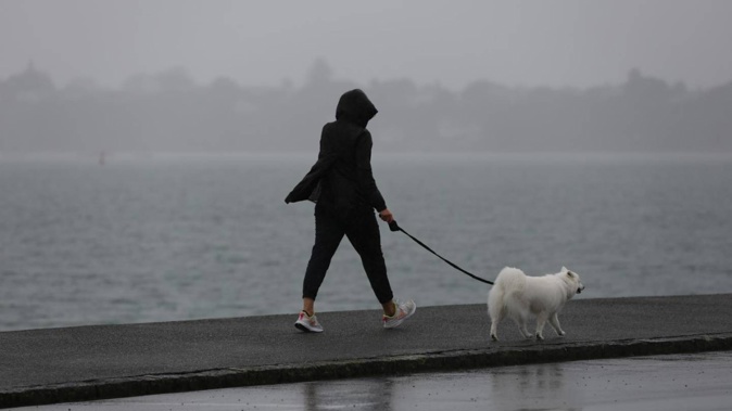 Northland and Auckland are in the firing line for more heavy rain. Photo / Sylvie Whinray
