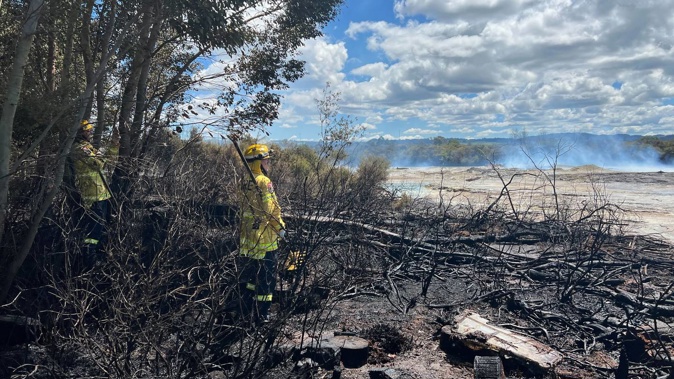 Hot ashes dumped in bush are believed to be responsible for a large fire. Photo / Kelly Makiha