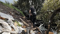 Tonnes of trash: Volunteer uncovers massive dump site near Auckland wetland