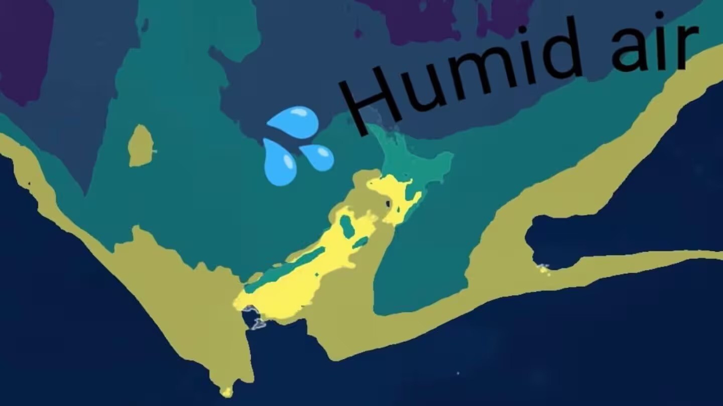 'Especially muggy': Incoming 'surge of humidity' as tropics start firing up